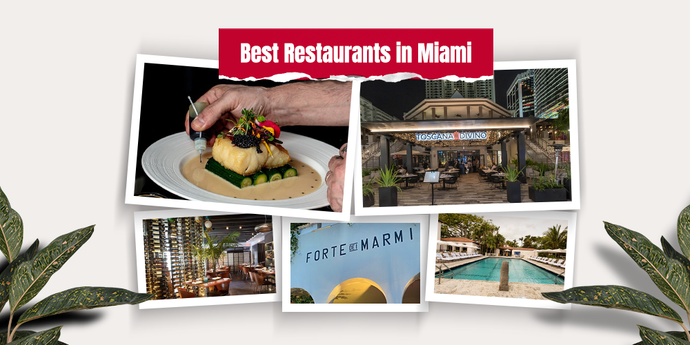 Best Restaurants in Miami to Eat Caviar