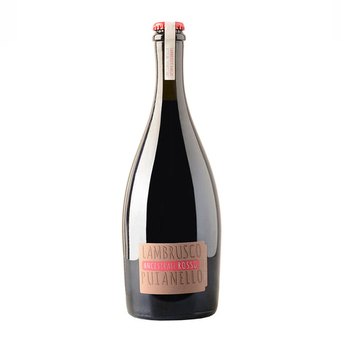 Lambrusco P.G.I Puianello Rosso Pet Nat Organic sparkling red wine - Tita Italian