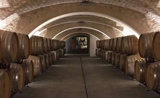 Visiting Azienda Corte Lenguin Amarone Tita Italian