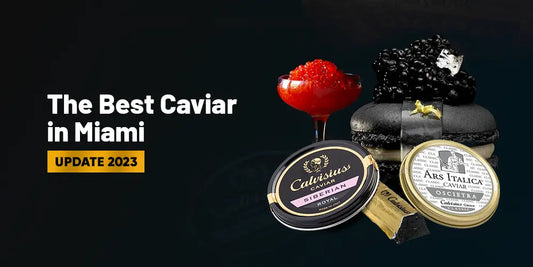 The Best Caviar in Miami - Update 2023 Tita Italian
