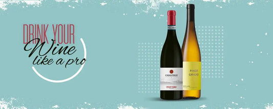 What is the best way to consume wine? Tita Italian