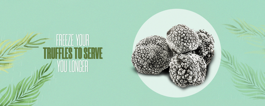 Easy Ways to Preserve Fresh Truffles