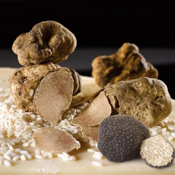 Fresh-Truffles-USA-Truffle-World Tita Italian