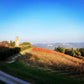 Pignoletto Superiore Tizzano DOCG