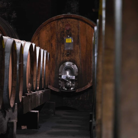 Tizzano Winery cellars - Tita Italian