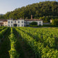 Winery Antica Fratta - Tita italian