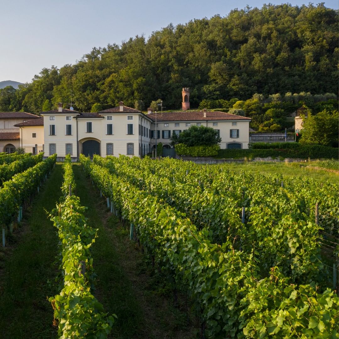 Winery Antica Fratta - Tita italian