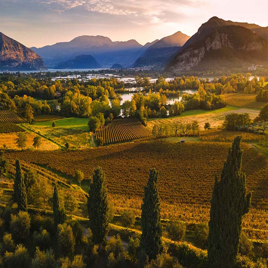 Antica Fratta winery territory Francia Corta  - Tita Italian