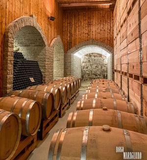 Barrels in a winery