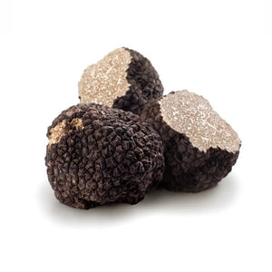 Fresh Burgundy Truffle (Tuber Uncinatum) - Tita Italia