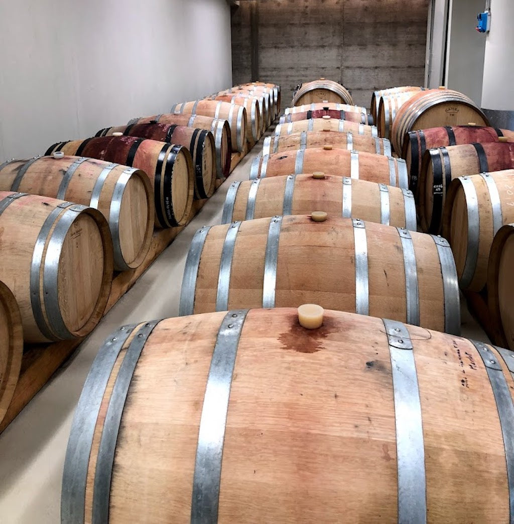 Capua Vinery cellars - Tita Italian