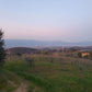 Casalcolle wine yards - Tita Italian
