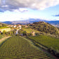 Collosorbo DOCG vinery vineyards - Tita Italian