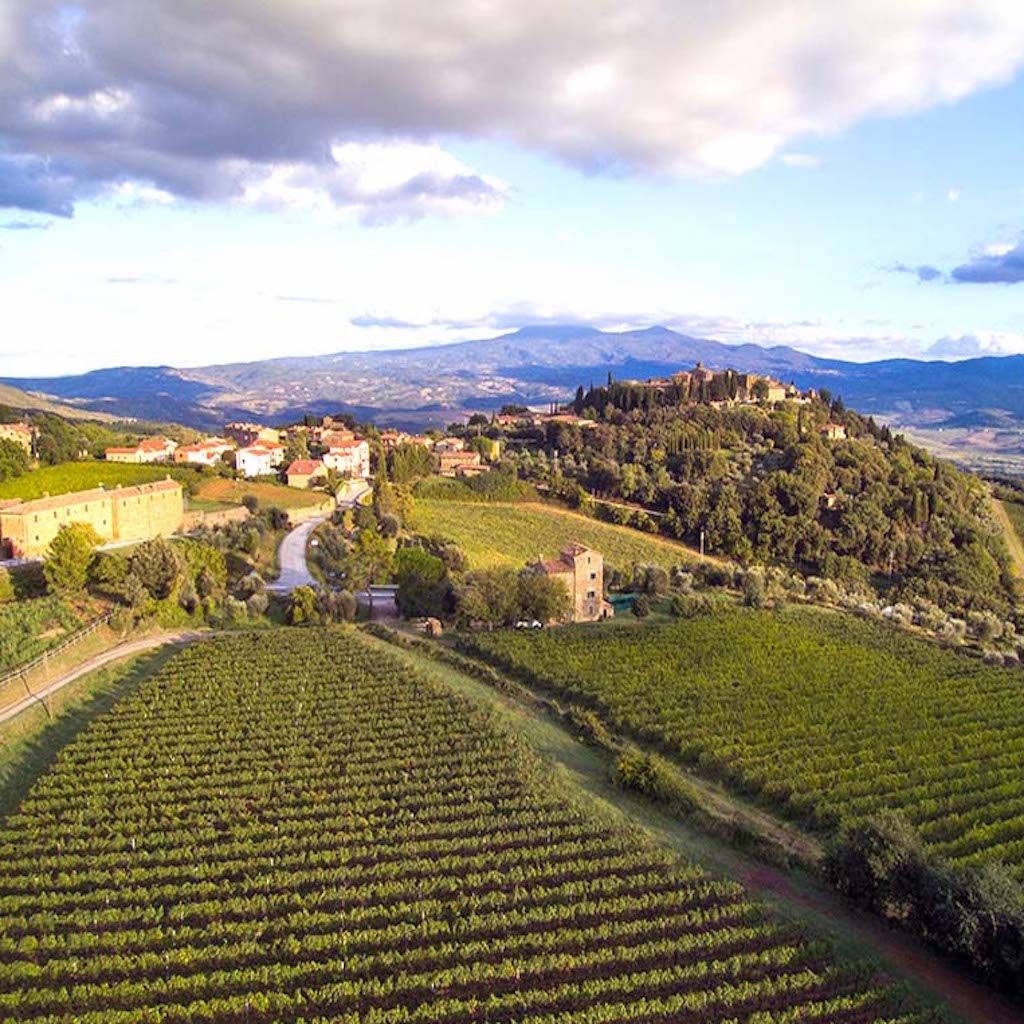 Collosorbo DOCG vinery vineyards - Tita Italian