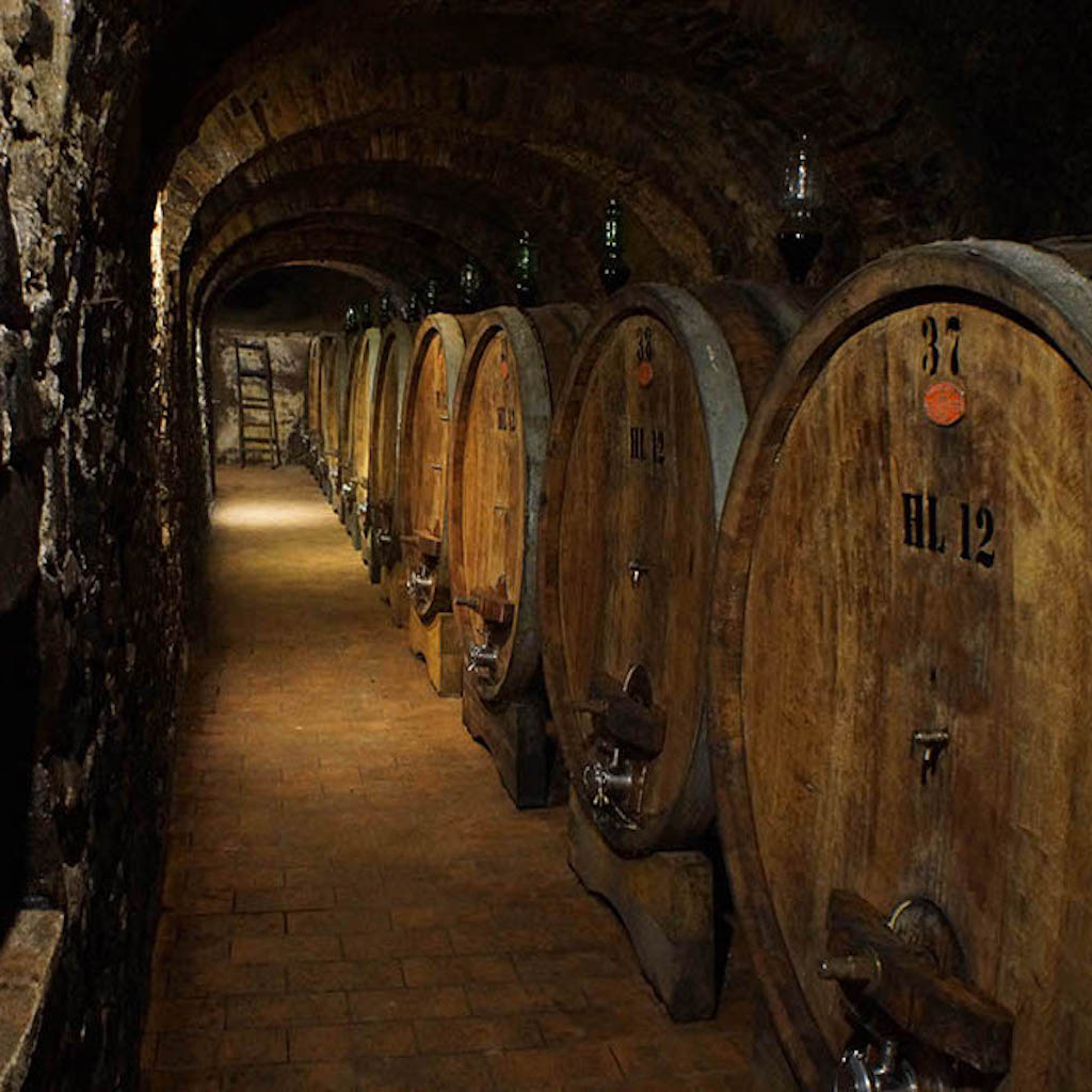  Collosorbo DOCG vinery cellars - Tita Italian