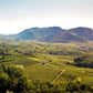 Prosecco Valdobbiadene Superiore De Faveri