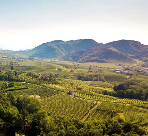 Prosecco Valdobbiadene Superiore De Faveri