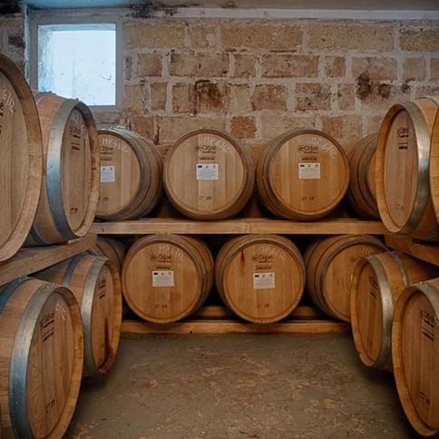  De Falco vinery cellars - Tita Italian