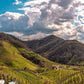 Prosecco DOC De Faveri