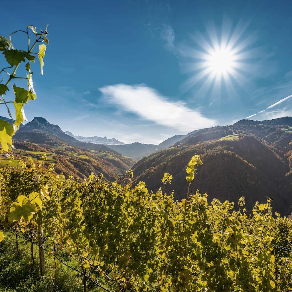 Erste+Neue wineyards - Tita Italian