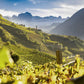 Erste+Neue wineyards - Tita Italian
