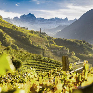 Erste+Neue wineyards - Tita Italian