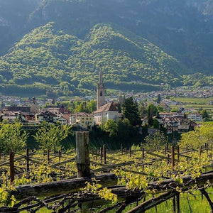 Erste+Neue wineyards - Tita Italian