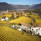 Klaus Lentsch Wineyards Alto Adige - Tita Italian