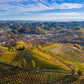 Monchiero Carbone wine yards - Tita Italian
