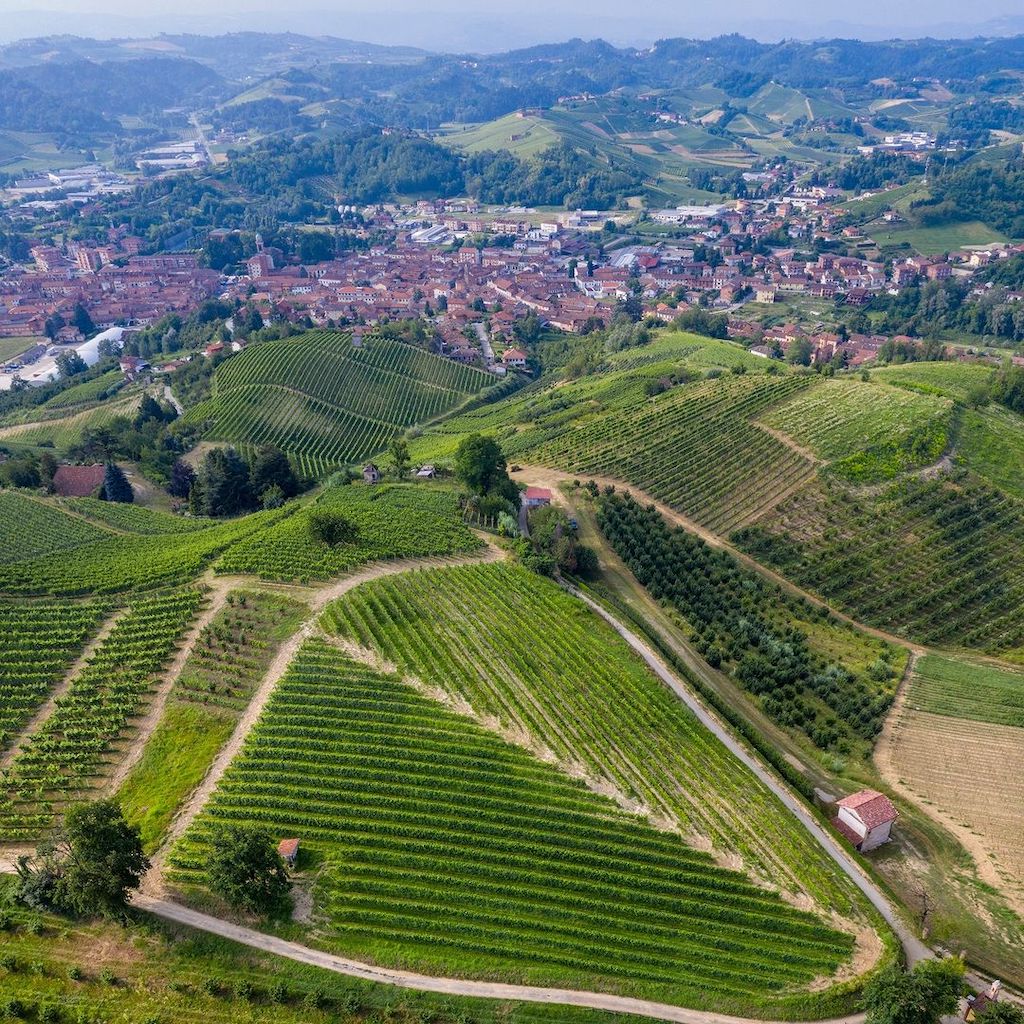 Monchiero Carbone wine yards - Tita Italian