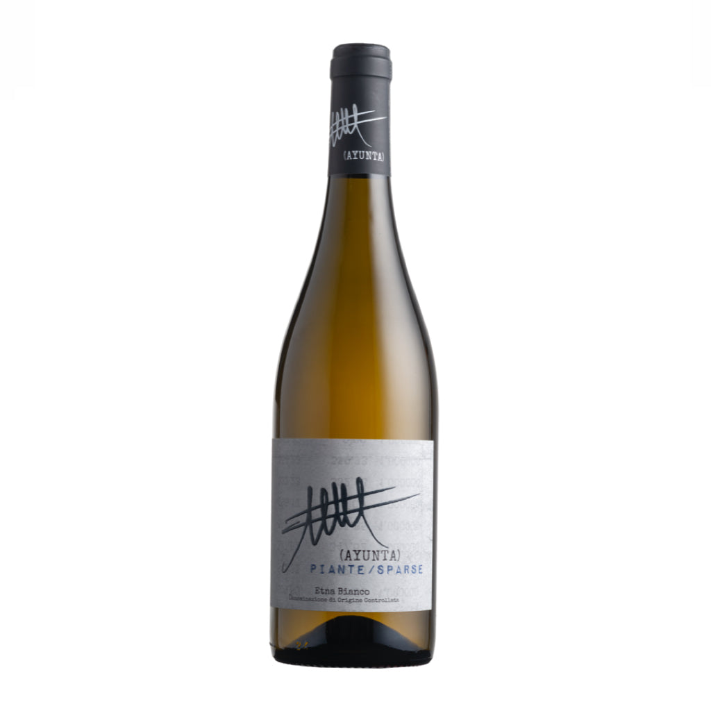 PianteSparse Etna Bianco D.O.C Ayunta white vine - Tita Italian