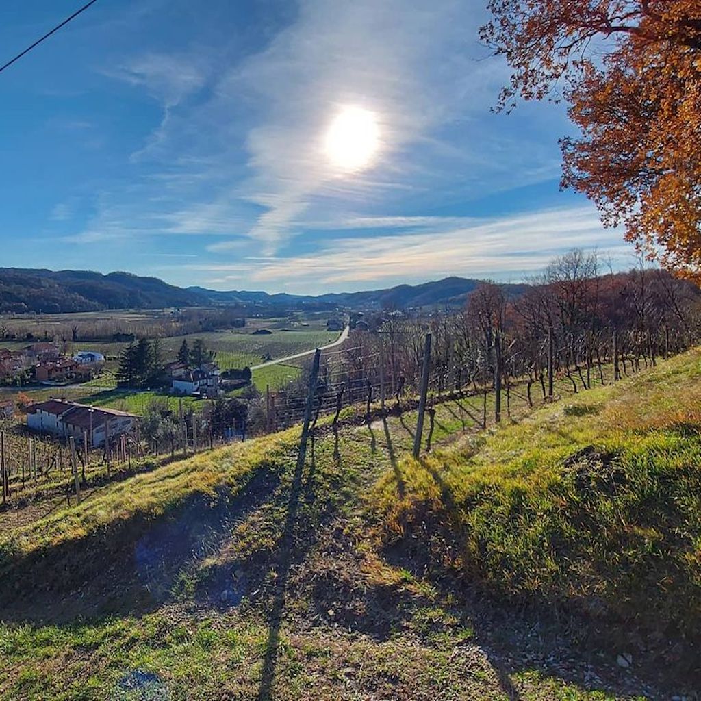  Petrussa wineyards - Tita Italian