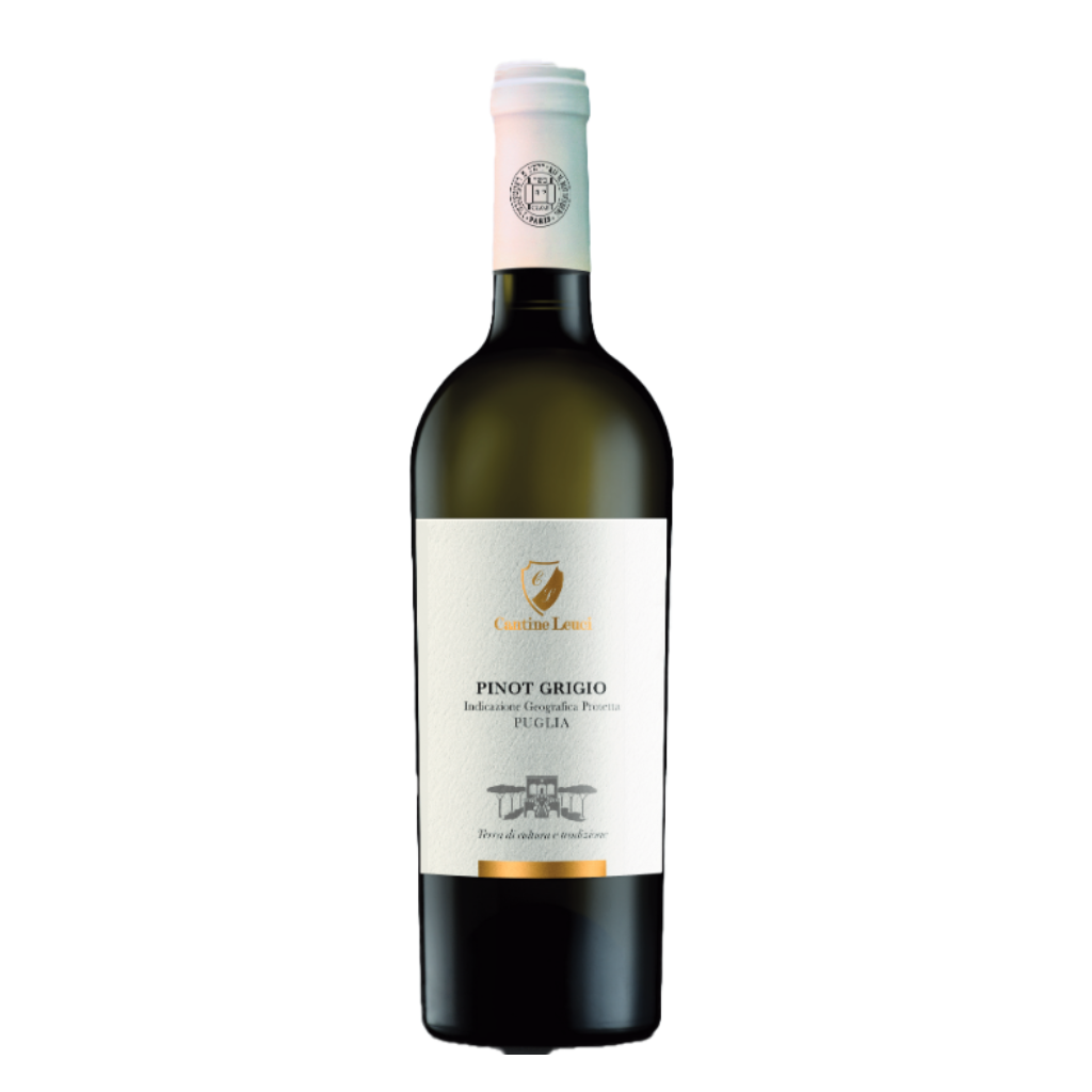 Bottle of Cantine Leuci Pinot Grigio on a white background kosher wine