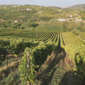 Prosecco DOC Victoria Vigne Olcru - Tita Italian