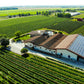Russolo Sauvignon IGT Venezia Giulia