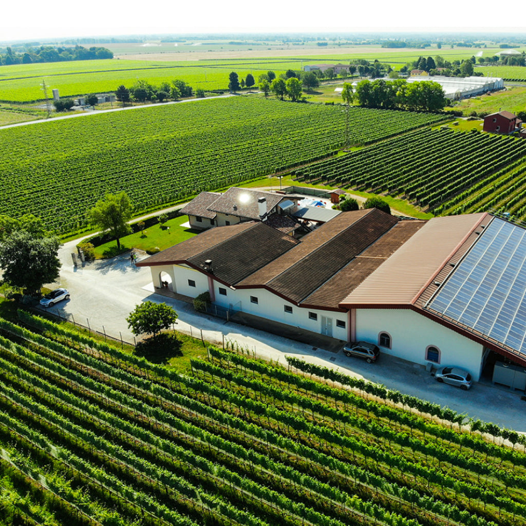 Russolo winery - Tita Italian