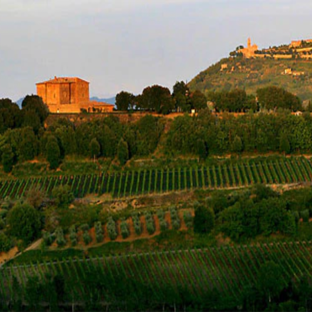 Castello di Romitorio Vineyards - Tita Italian