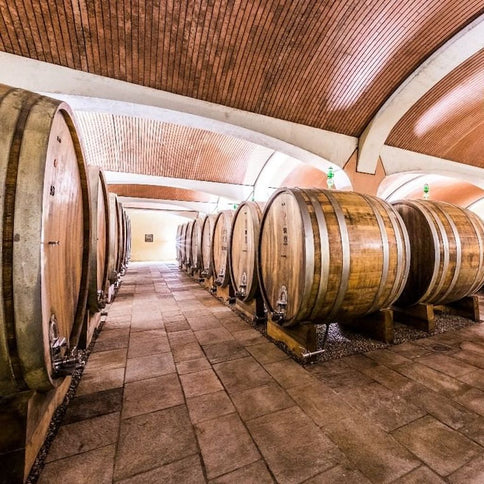 sordo winery cellar - Tita Italian