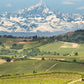 sordo wine yards - Tita Italian
