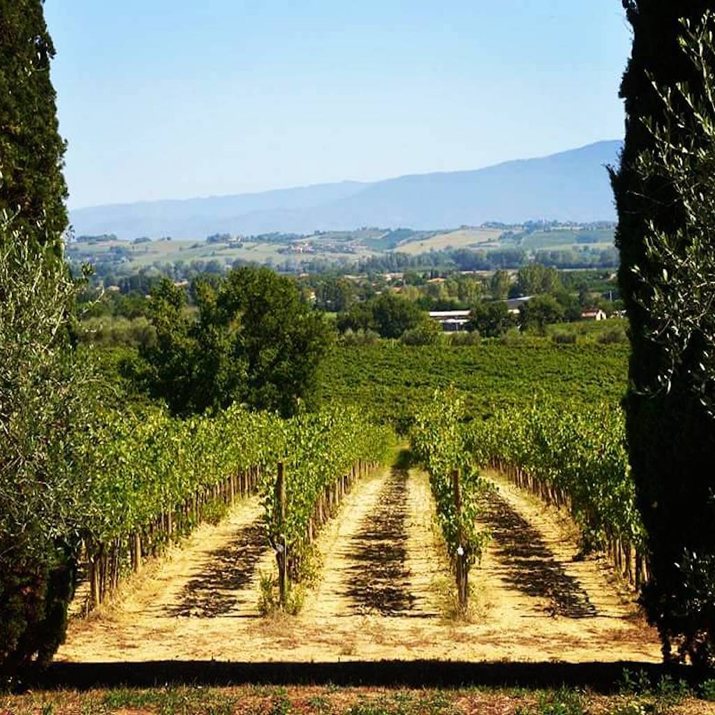  Tenuta di Gracciano della Seta vineyards - Tita Italian