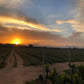 Vigneti Zanatta Vinery vineyards - Tita Italian