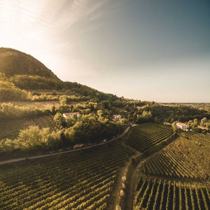Rialto Prosecco Extra Dry