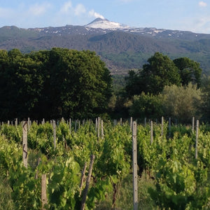 Navigabile Etna Rosso D.O.C Ayunta