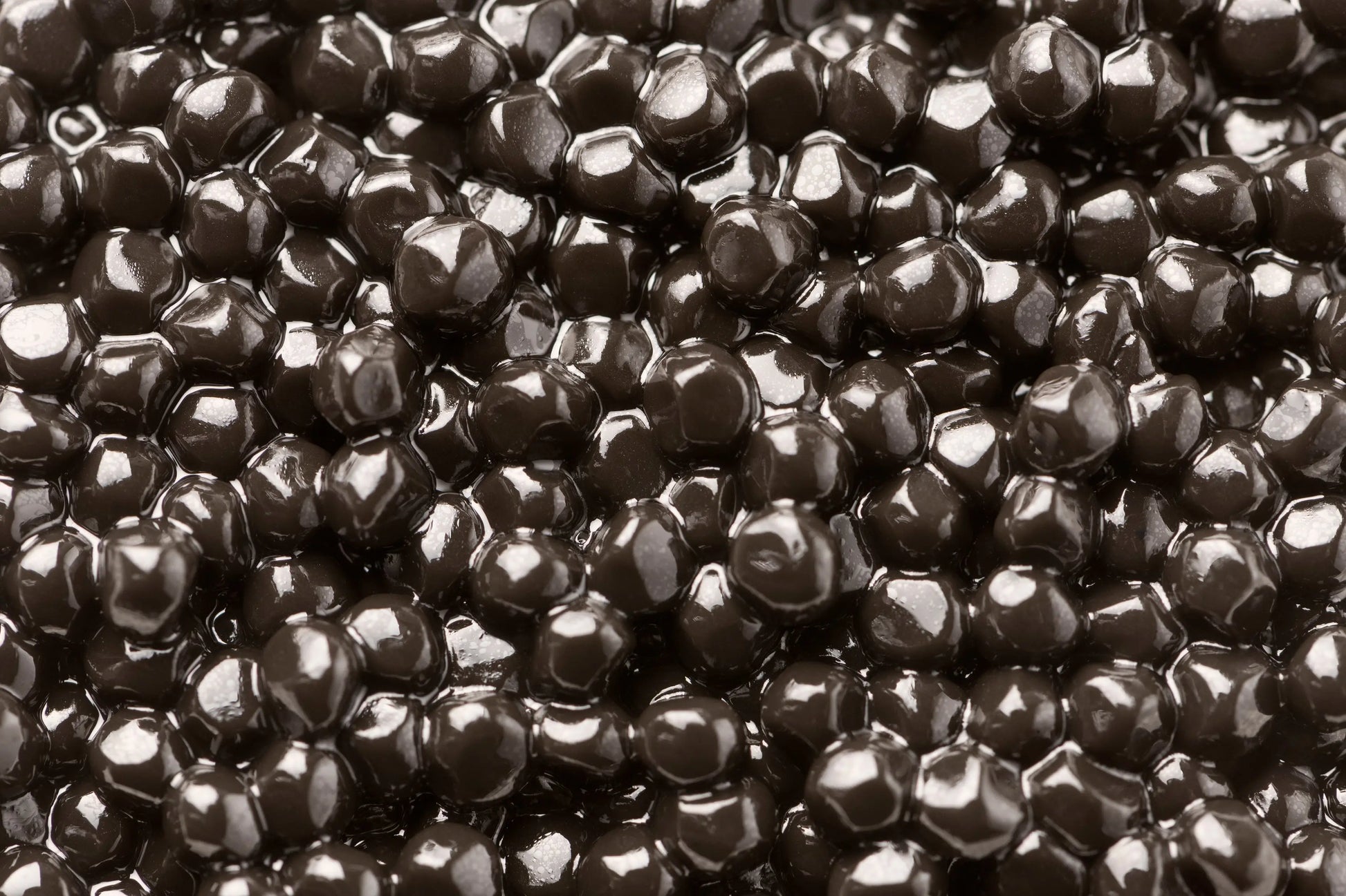 Black Truffle Pearls with Tuber Melanosporum, Ready to Use, 1.76 oz Geofoods