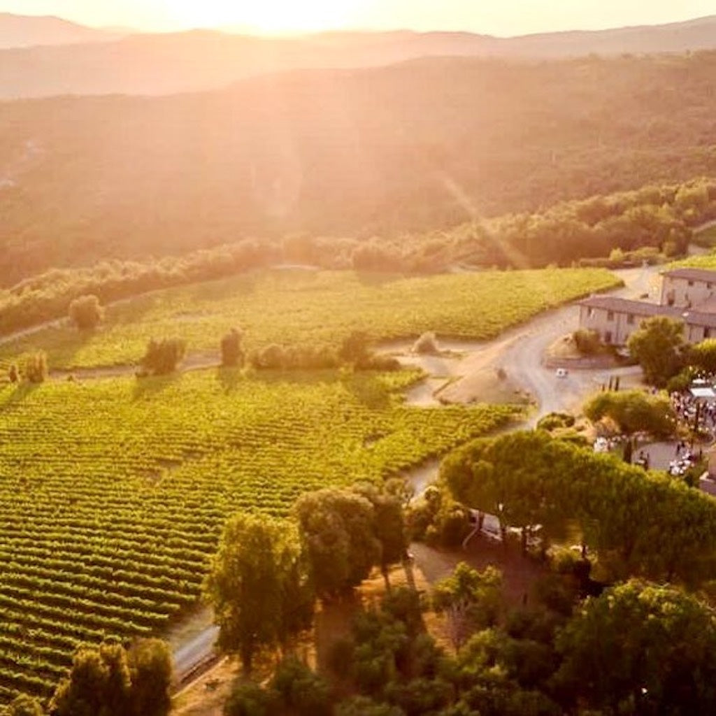 L'impostino wine yards - Tita Italian