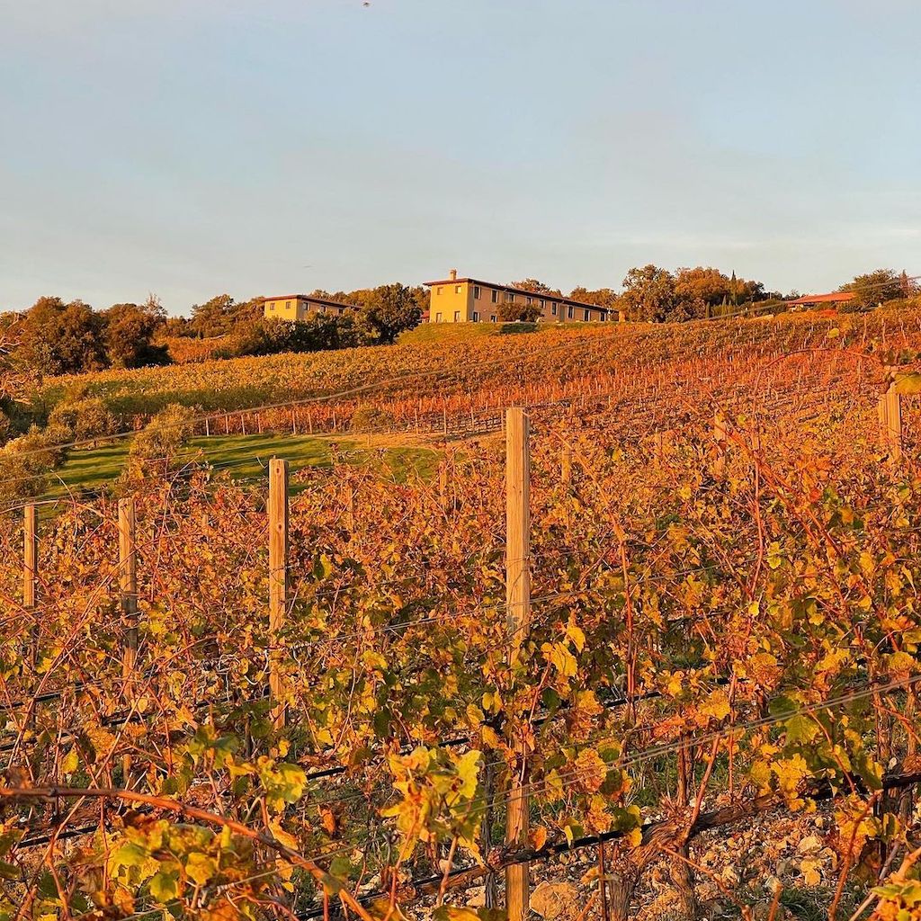 Tenuta L'impstino wine Yards - Tita Italian