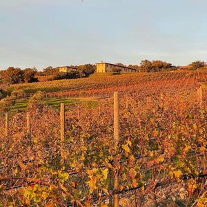 Tenuta L'impstino wine Yards - Tita Italian