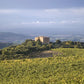 Castello di Romitorio Vineyards - Tita Italian