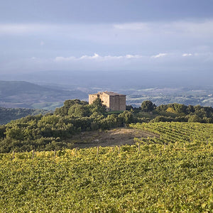 Castello di Romitorio Vineyards - Tita Italian