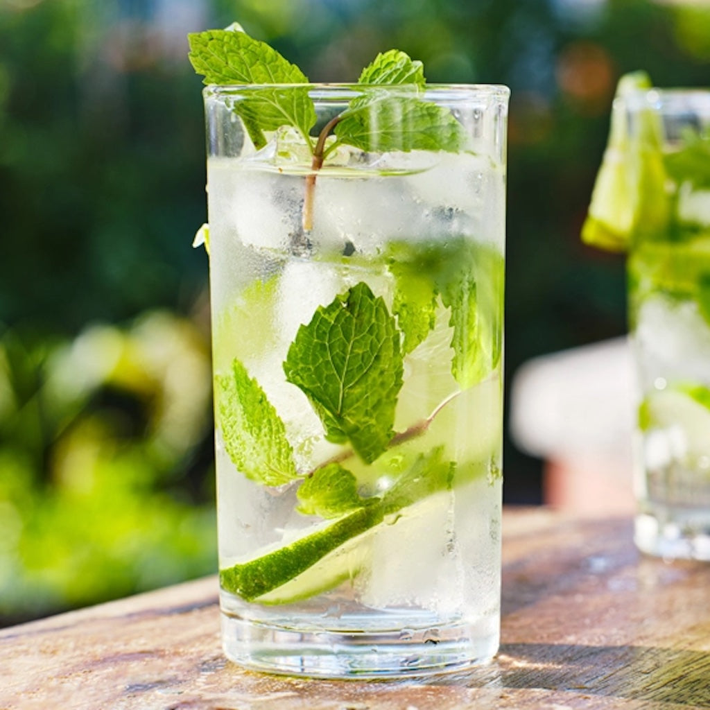 Shop | MoJito Stay Canned | Buy Tita Italian- Tita Italian